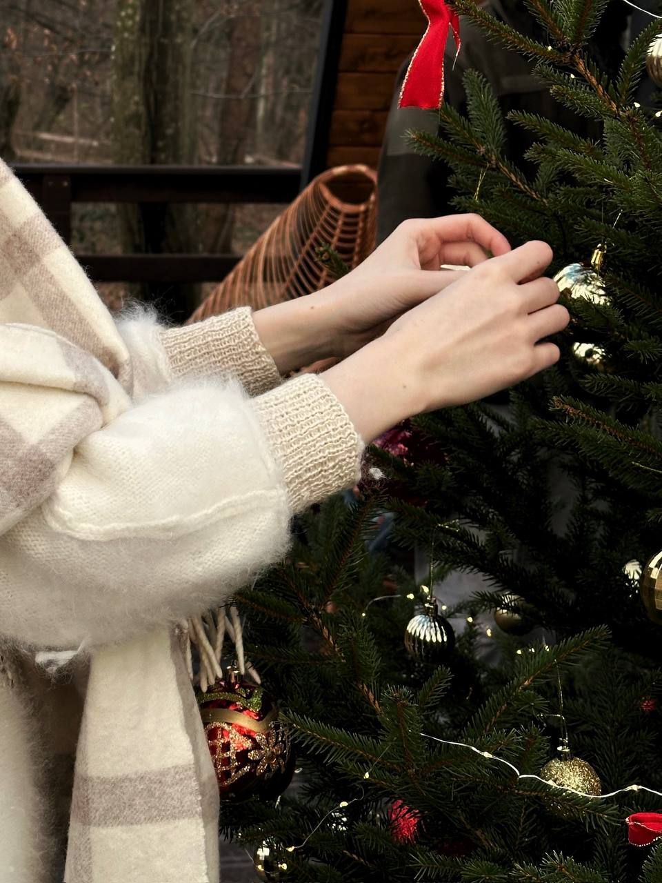 photo_5397872919058705102_y