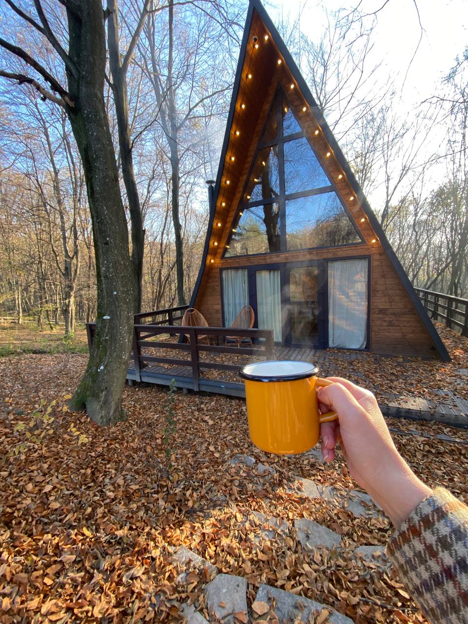 photo_5397872919058705167_y