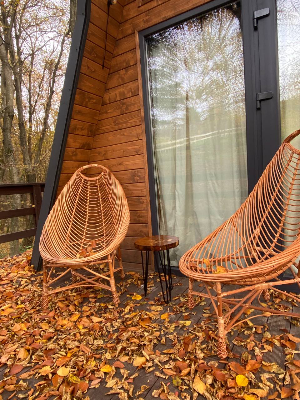 photo_5397872919058705176_y