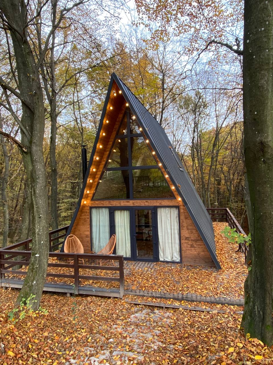 photo_5397872919058705178_y-1