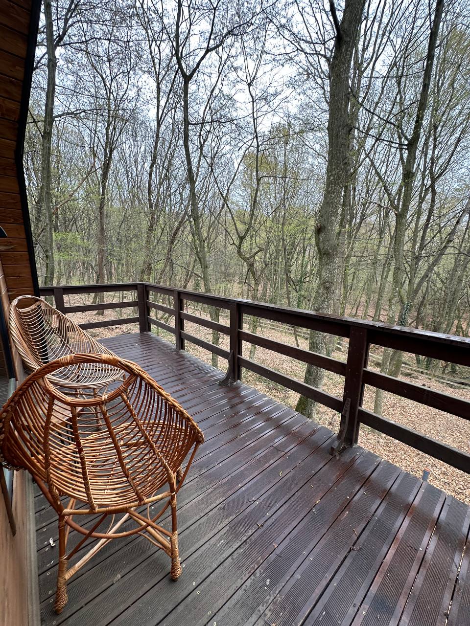 photo_5422460782194587592_y