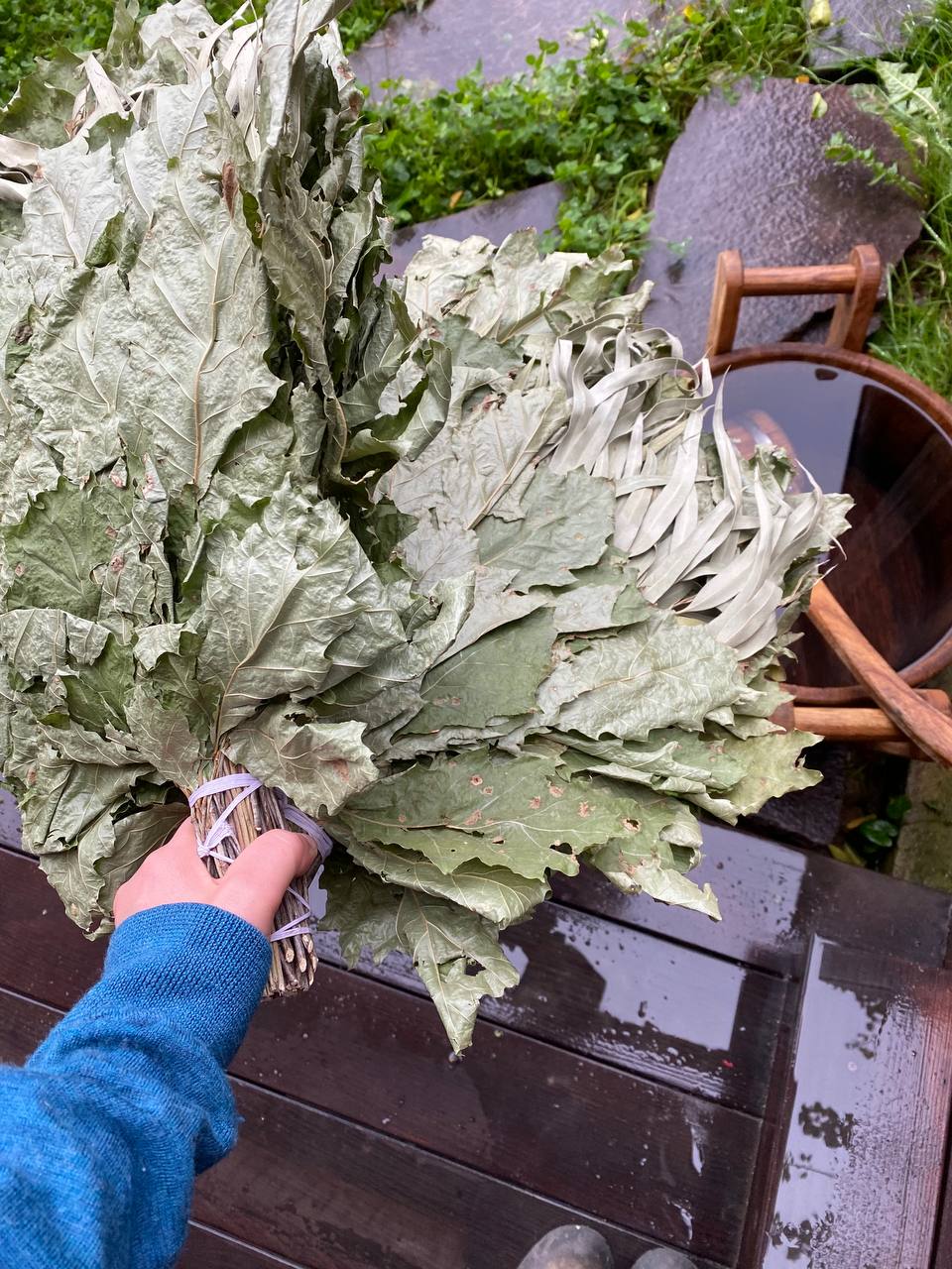 photo_5422460782194587602_y