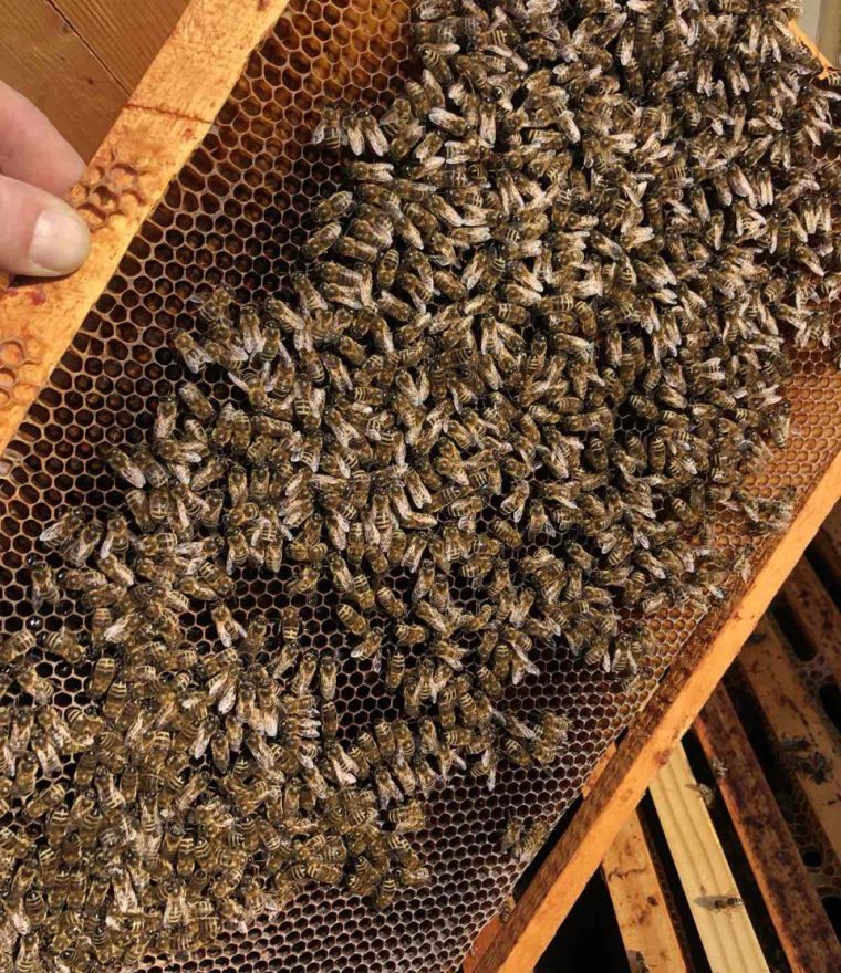 photo_5413362323474740238_y