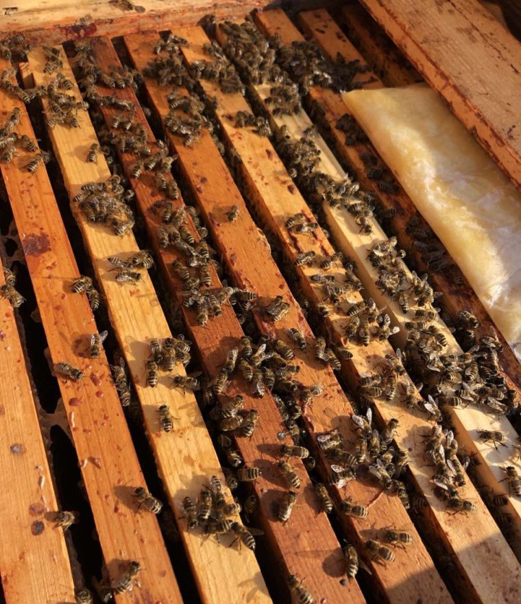 photo_5413362323474740239_y