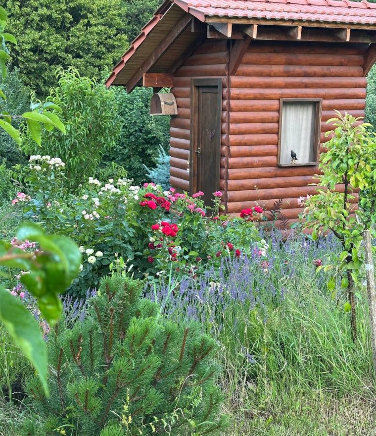 photo_5413362323474740691_y